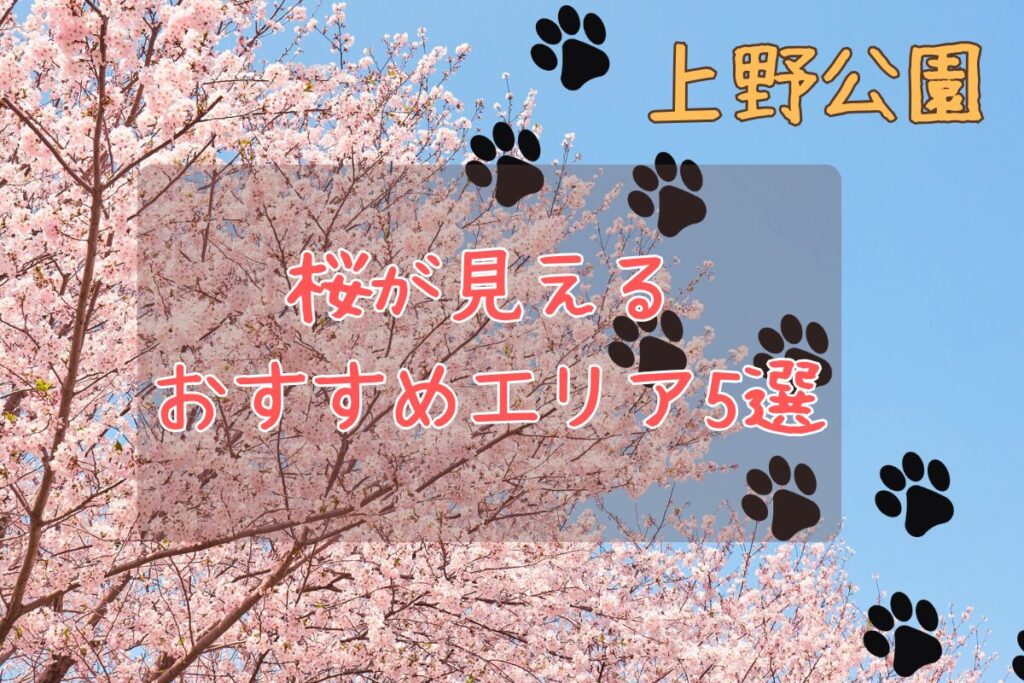 上野公園内の桜が見えるおすすめエリア5選