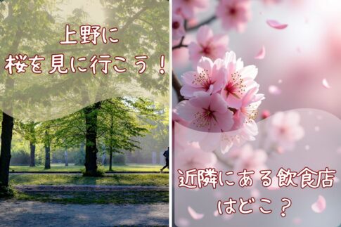 桜の名所である上野公園にお出掛け！公園改札までの行き方は？近隣にあるおしゃれな飲食店も紹介