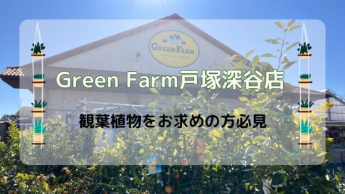 観葉植物 GreenFarm 横浜 神奈川 スポット