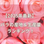 【2025年最新】バラの産地＆生産量ランキング！贈り物に最適なバラの花言葉についても紹介！