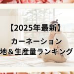 カーネーション 生産地 生産量 ランキング 母の日