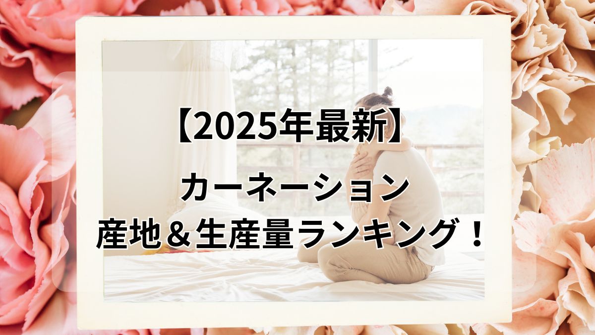 カーネーション 生産地 生産量 ランキング 母の日