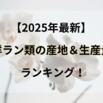 【2025年最新】洋ラン類の産地＆生産量ランキング！4大洋ランやおすすめ胡蝶蘭ギフト3選を紹介！