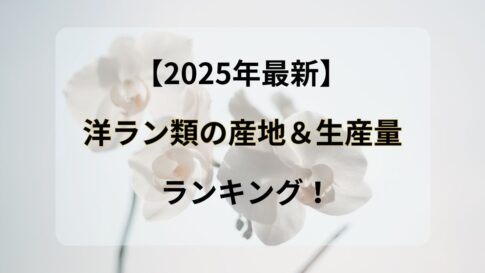 【2025年最新】洋ラン類の産地＆生産量ランキング！4大洋ランやおすすめ胡蝶蘭ギフト3選を紹介！