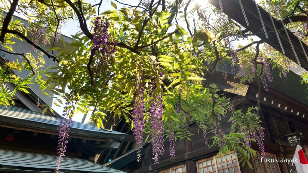 おすすめの写真スポット