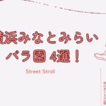 横浜みなとみらいのバラ園4選！山下公園や港の見える丘公園などの写真映えスポットやバラの見頃について紹介