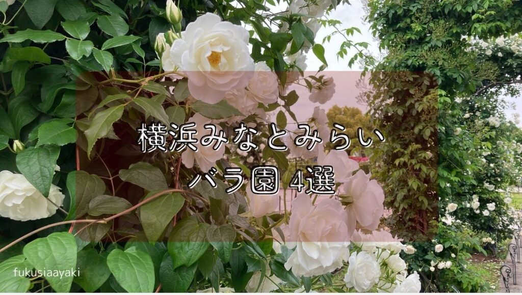 横浜みなとみらいのバラ園