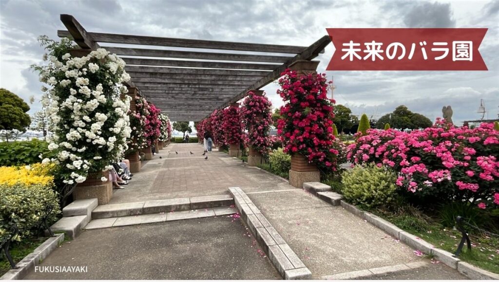 未来のバラ園