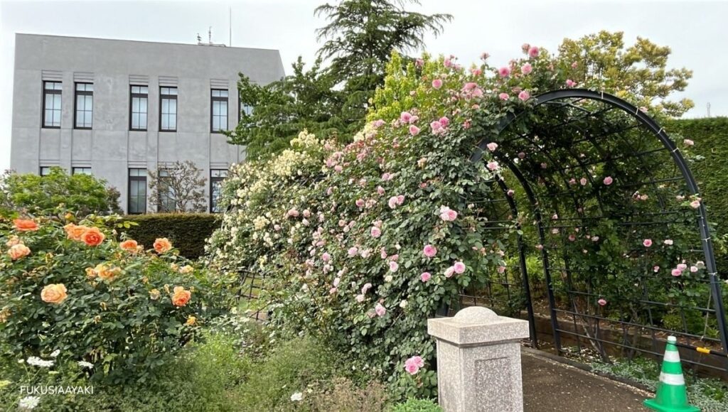 港の見える丘公園
ブラフ99ガーデン