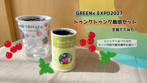 EXPO2027トゥンクトゥンク栽培セットでミニトマトとバジルを育ててみた！