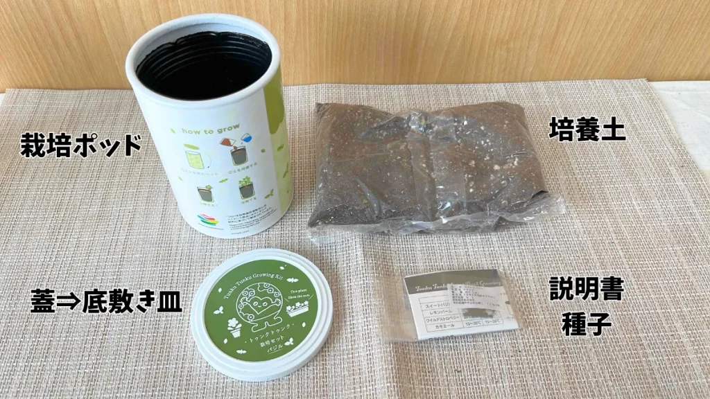 バジル栽培セット