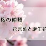 桜の種類と見た目の違い・見分け方を分かりやすく解説!花言葉と誕生花フラワーギフト向きの桜はある?