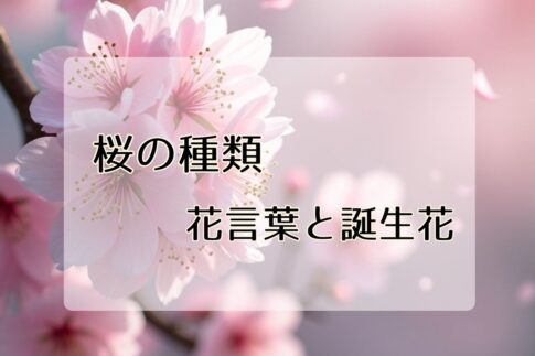 桜の種類と見た目の違い・見分け方を分かりやすく解説！花言葉と誕生花フラワーギフト向きの桜はある？