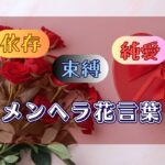 依存・束縛・純愛を感じさせるメンヘラ系の花言葉12選！テーマ別に想いを代弁できる花と贈る際の注意点を紹介