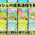 カウシェの成長過程を解説
