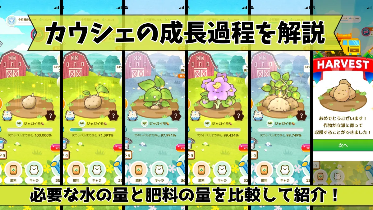 カウシェの成長過程を解説