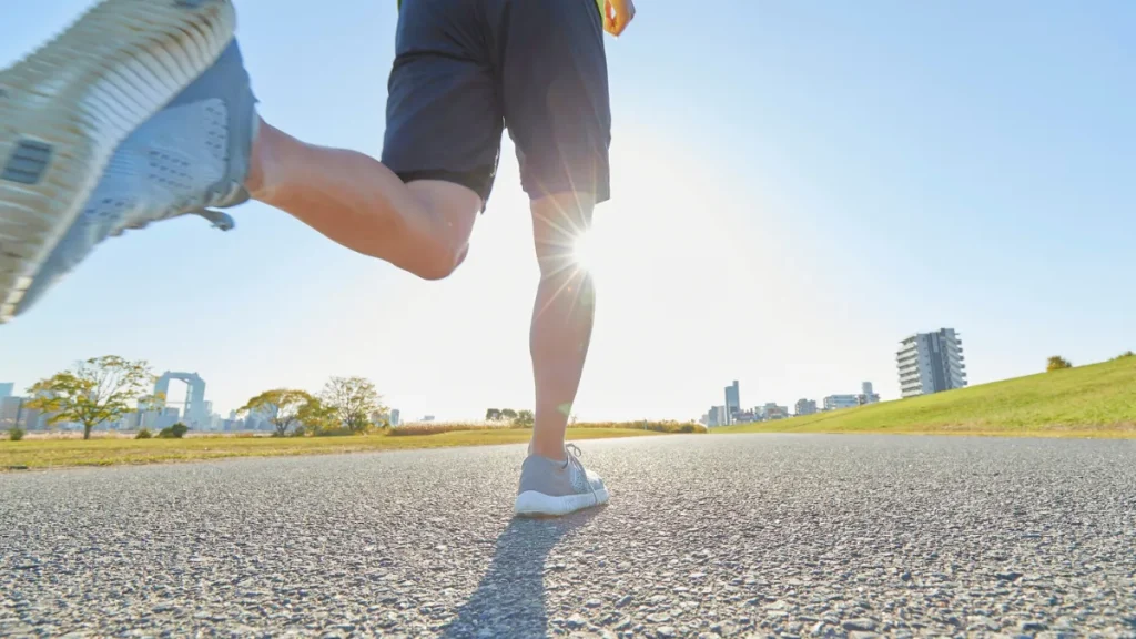 アクセスを把握してスムーズに来場しよう！