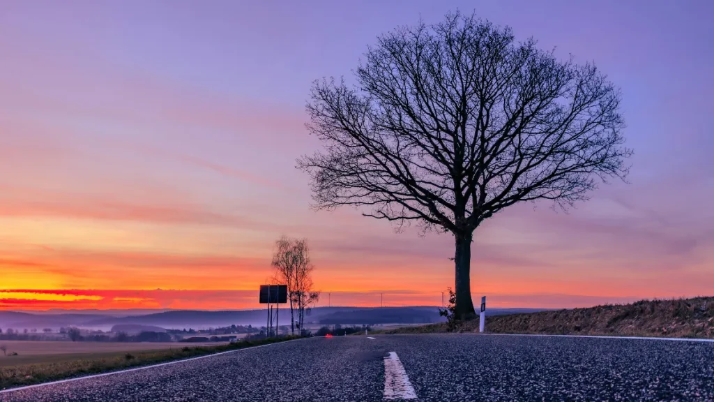 グリーンエキスポ2027で空いている日はいつ？