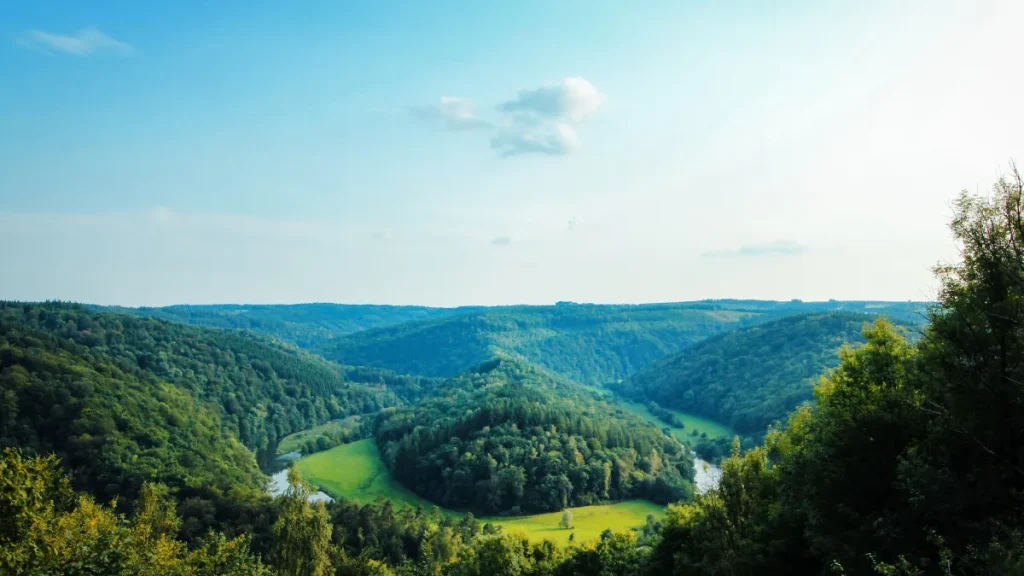 混雑を避けて優雅な鑑賞を楽しもう！